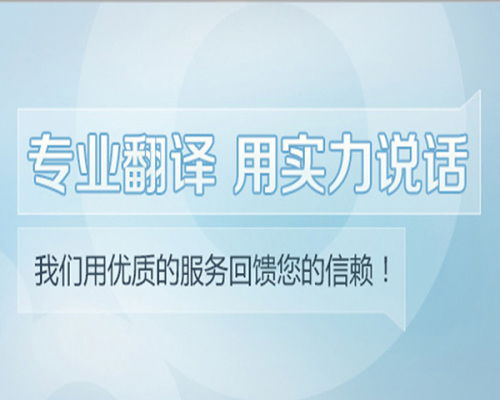 軟件開發(fā)相關英文文獻翻譯 沈陽專業(yè)服務公司的關鍵角色