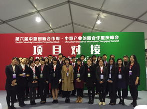 我院學子圓滿完成第六屆中意產(chǎn)業(yè)創(chuàng)新合作重慶峰會項目對接會翻譯與軟件開發(fā)志愿服務