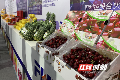 周末果品會 繽紛水果盛宴，盡享舌尖上的甜蜜時(shí)光